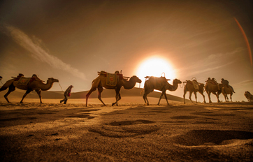 太阳集团tcy8722国际 “一带一路”倡议培训平台